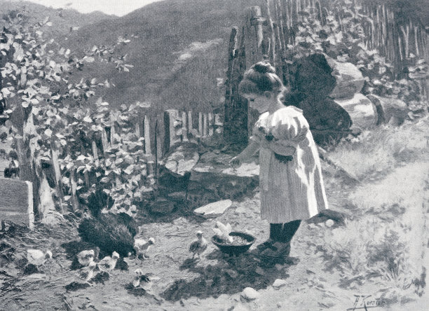 女孩喂小鸡图片下载