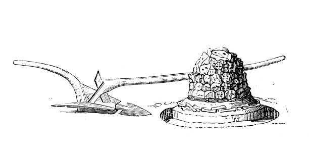 古董插图、民族志和土著文化:中亚和东欧、克里米亚犁和卡尔梅基亚马头骨制成的宗教纪念碑图片下载