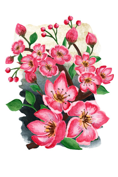 水彩框架。樱花花枝装饰用花。婚礼邀请布局模板保存日期，花卉卡与黄金框架和异国花卉插图。图片下载