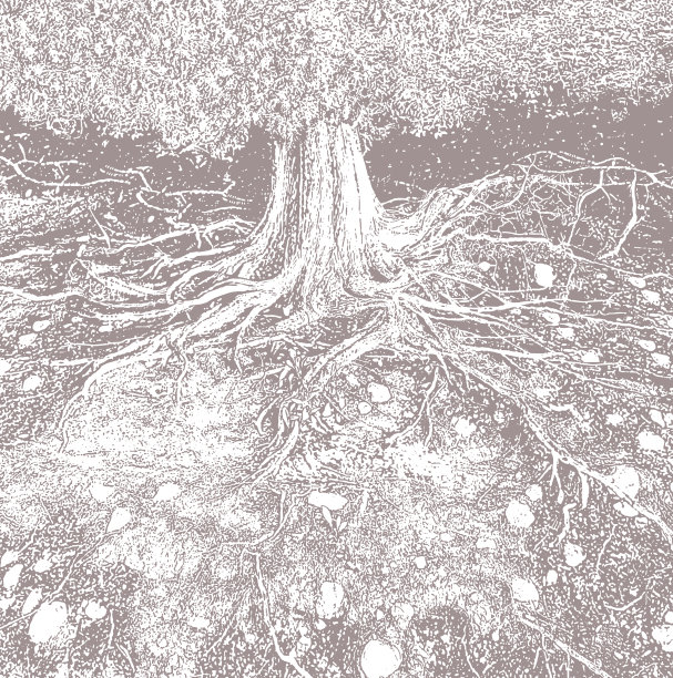 干树根矢量插图图片下载