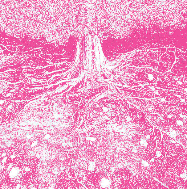 干树根矢量插图图片下载