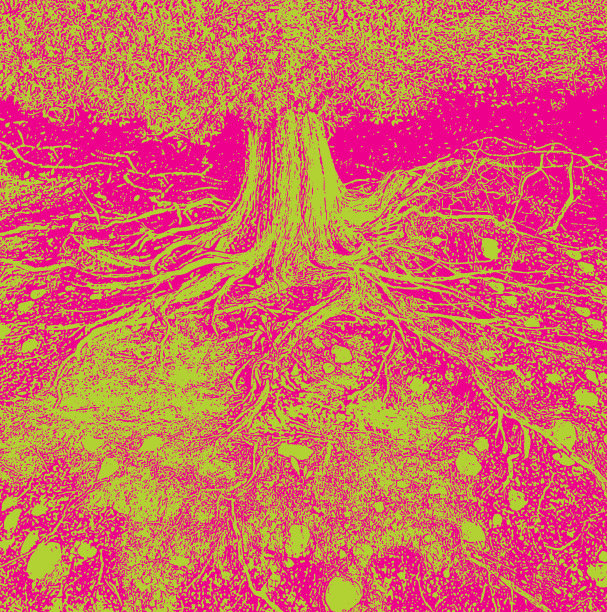 干树根矢量插图图片下载