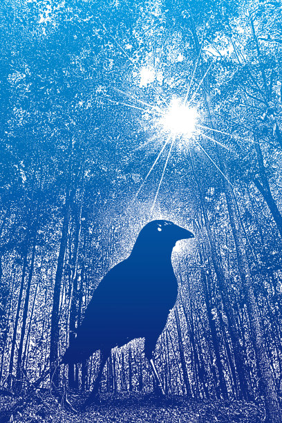 森林小径，秋叶和乌鸦图片下载