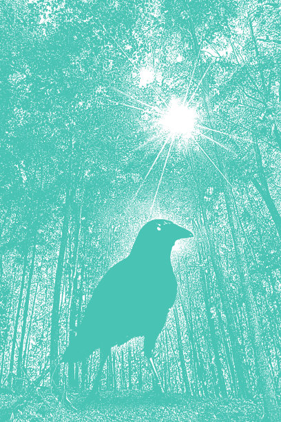 森林小径，秋叶和乌鸦图片下载