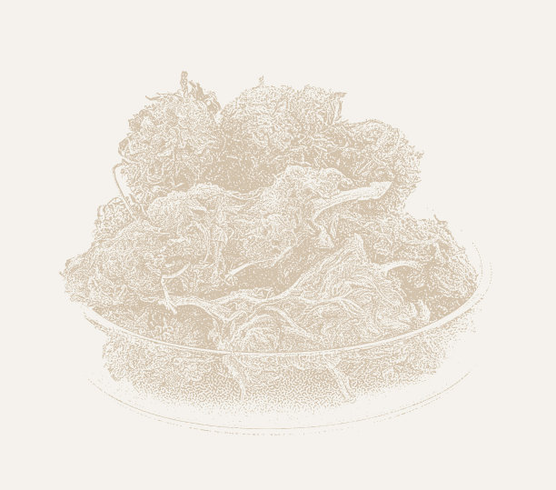 皮氏培养皿中的大麻芽图片下载