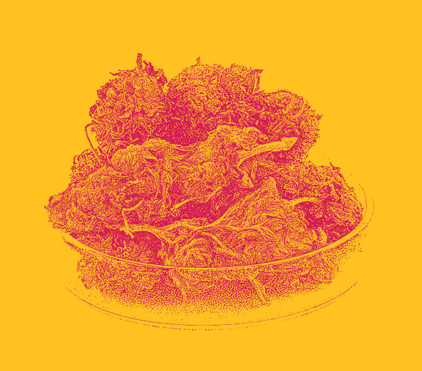 皮氏培养皿中的大麻芽图片下载