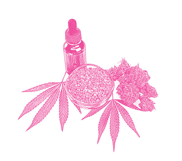 大麻油瓶与大麻叶和种子图片下载