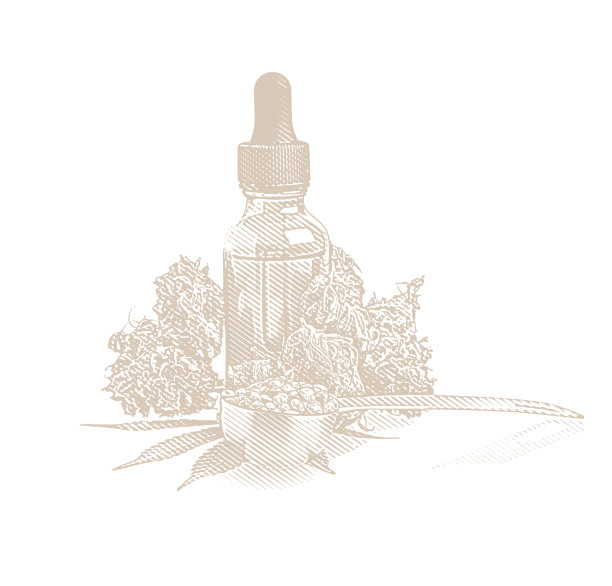 大麻油瓶与大麻花和叶子的特写图片下载