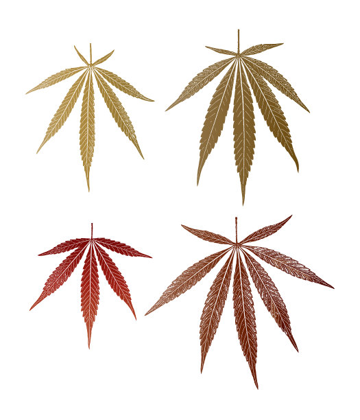 四组大麻叶子图片下载
