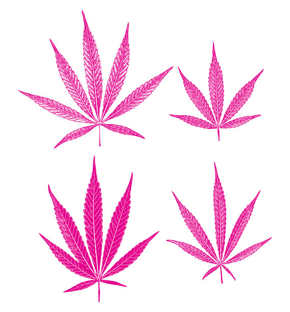 四组大麻叶子图片下载