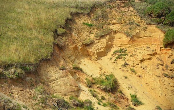 在英国诺福克，美丽的自然，被草覆盖的悬崖和一些裸露的泥土或岩石的横向图片图片下载
