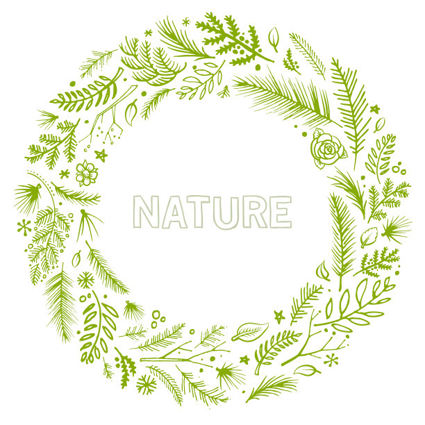 绿色自然的插图图片下载