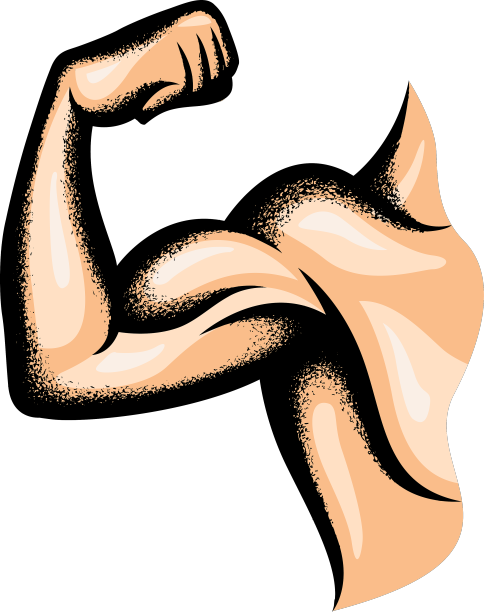 强大的肌肉发达的手臂图片下载