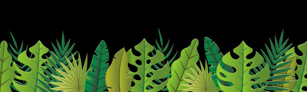热带叶横幅图片下载