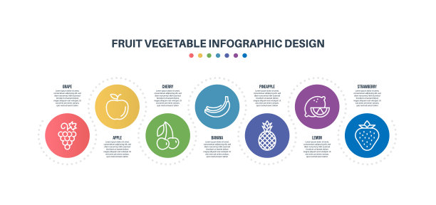 信息图表设计模板与水果蔬菜的关键字和图标图片下载