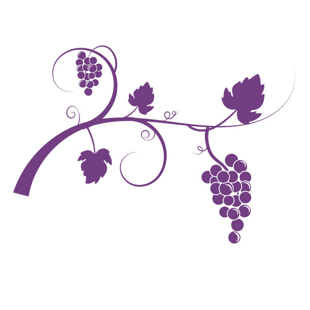 葡萄藤装饰设计图片下载
