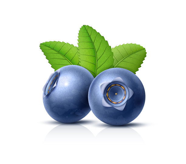 绿叶蓝莓图片下载