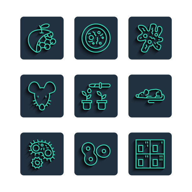 设置行病毒细胞分裂周期表图片下载