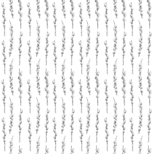 猫咪柳笔和墨水绘制无缝模式-矢量EPS10图片下载