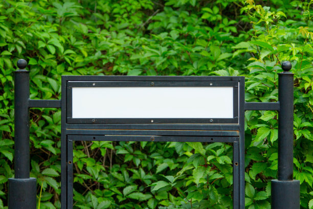 一个空广告牌，在一个自然的绿色公园里有一个可以复制的地方。图片下载