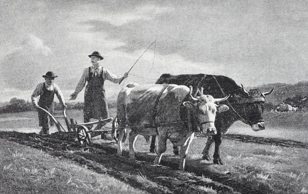 农夫教他的儿子如何耕田图片下载