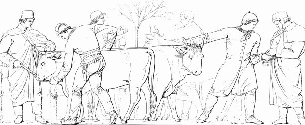 牲口市场图片下载