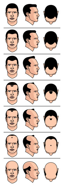 信息图表图片下载