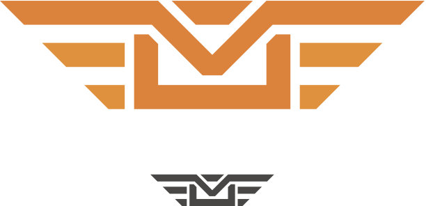 速邮翼专业和快速递送矢量标志设计图片下载