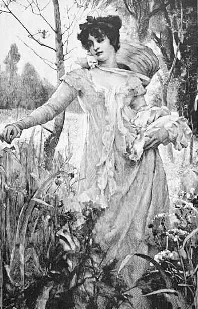 晨露，优雅的女子站在花圃图片下载