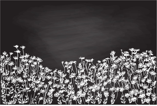 花圃背景黑板图片下载