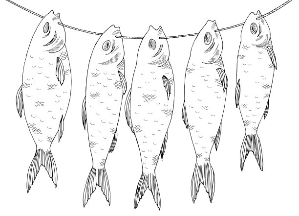 鱼是晒在绳子图形黑白素描插图矢量图片下载
