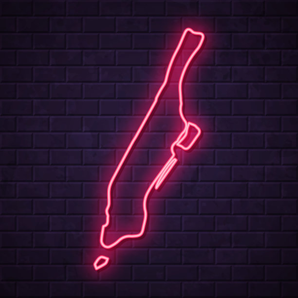 曼哈顿地图-砖墙背景上闪烁的霓虹灯图片下载