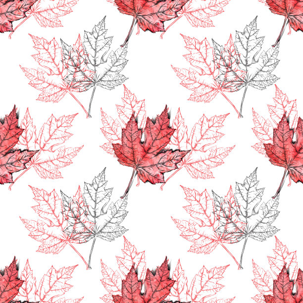 枫叶矢量水彩和墨水无缝模式图片下载