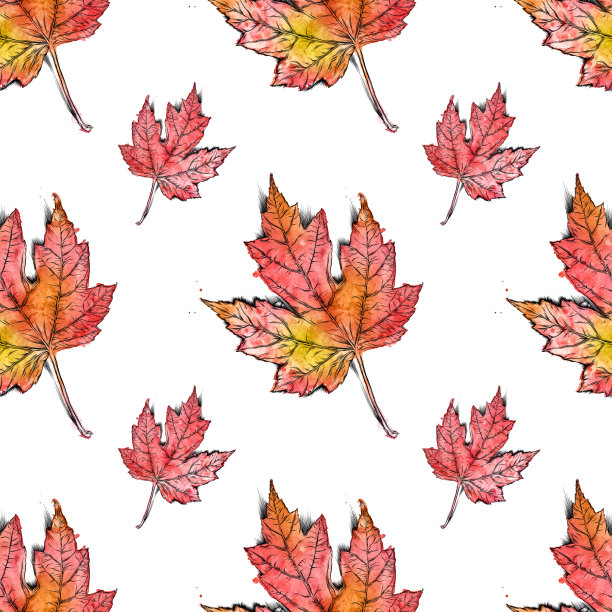 枫叶矢量水彩和墨水无缝模式图片下载