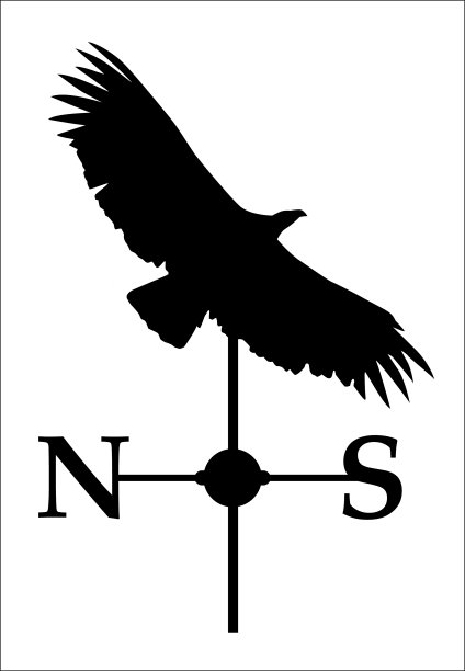 加州秃鹰风向标图片下载