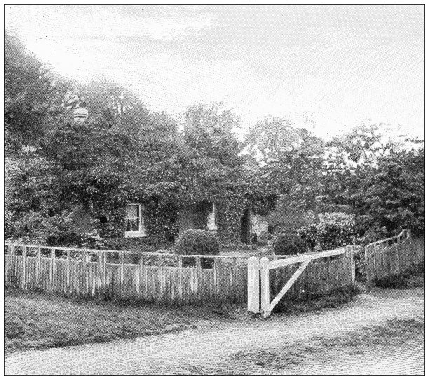 英格兰古玩旅行照片:格雷的花园和房子图片下载