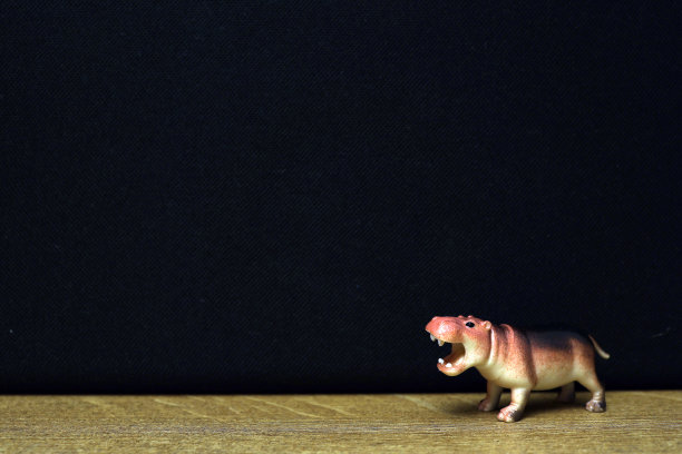 一群丛林动物玩具隔离在黑色背景。塑料动物玩具。保护动物。孩子们的玩具。图片下载