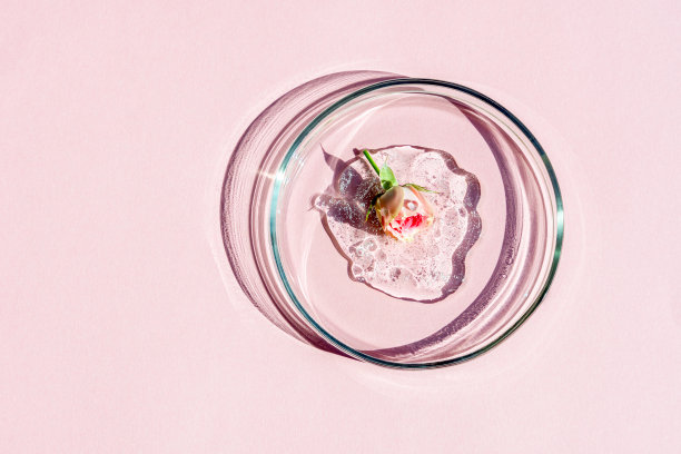 平层的化妆品，血清和实验室玻璃器皿与新鲜的玫瑰花在明亮的粉红色背景。图片下载