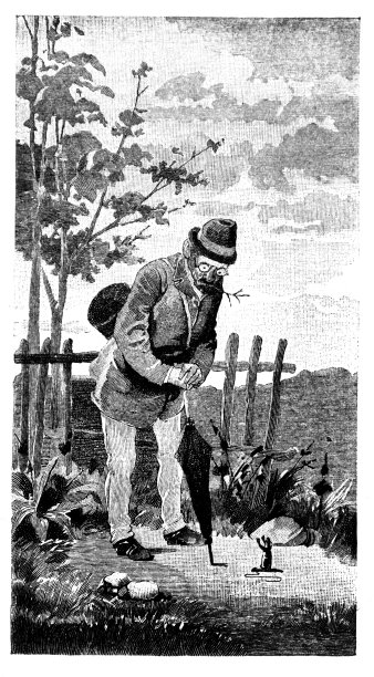 一个徒步旅行者在路上遇到一只青蛙图片下载