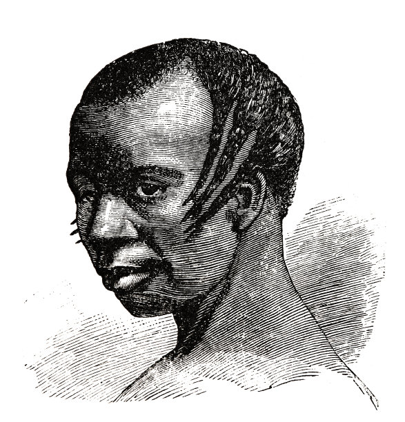 埃及本土男士发型图片下载