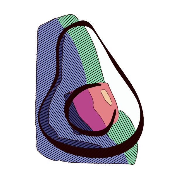 牛油果彩色插图图片下载