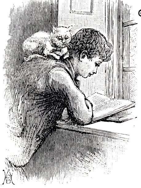 背上有只猫的男孩在窗边看书图片下载