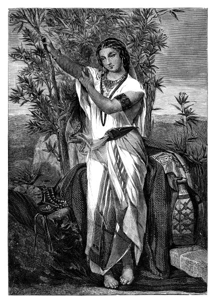 漂亮的女人图片下载