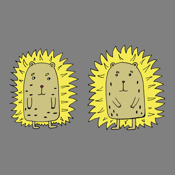 有趣的刺猬孤立图片下载