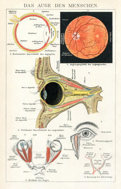 眼科医生检查人眼信息图1898年图片下载