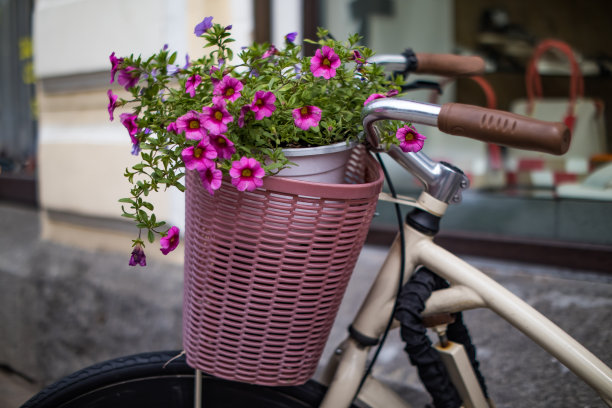 用花装饰的自行车图片下载