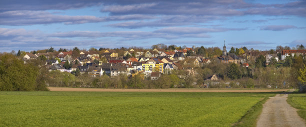 多尔夫图片下载