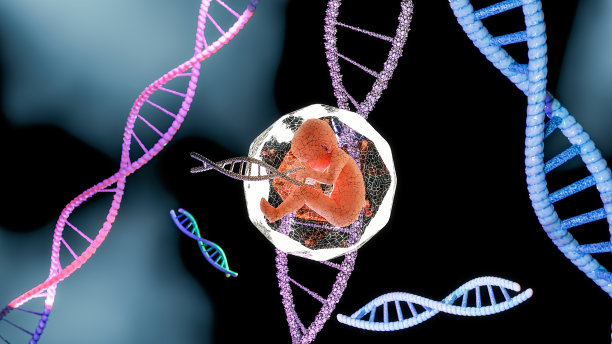 带有dna的胎儿图片下载