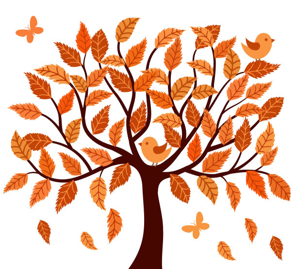 树的背景。图片下载