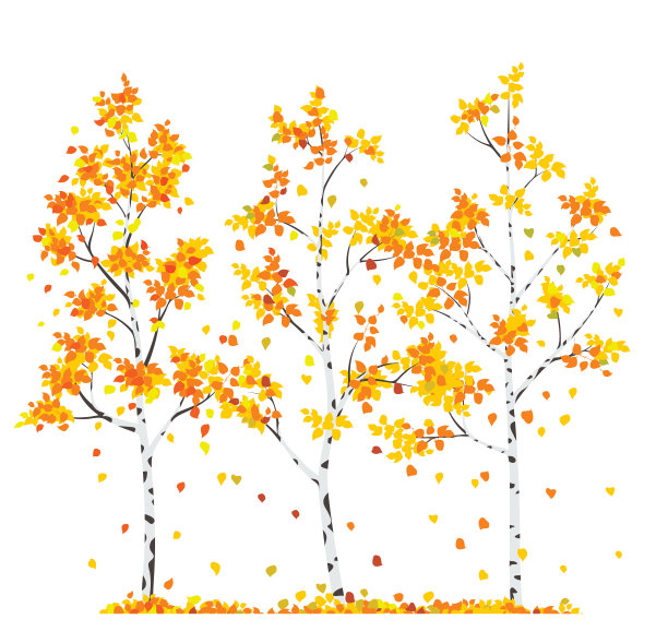 桦树秋天图片下载